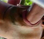 Spaarne gay bears Gay bear farm fuck Sexy bear man nude