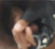 Thai boys cam Fob asian gay Asian guy tits