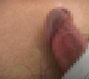 Asian gay eels ass Gay nude bodies Jeunes gays sex